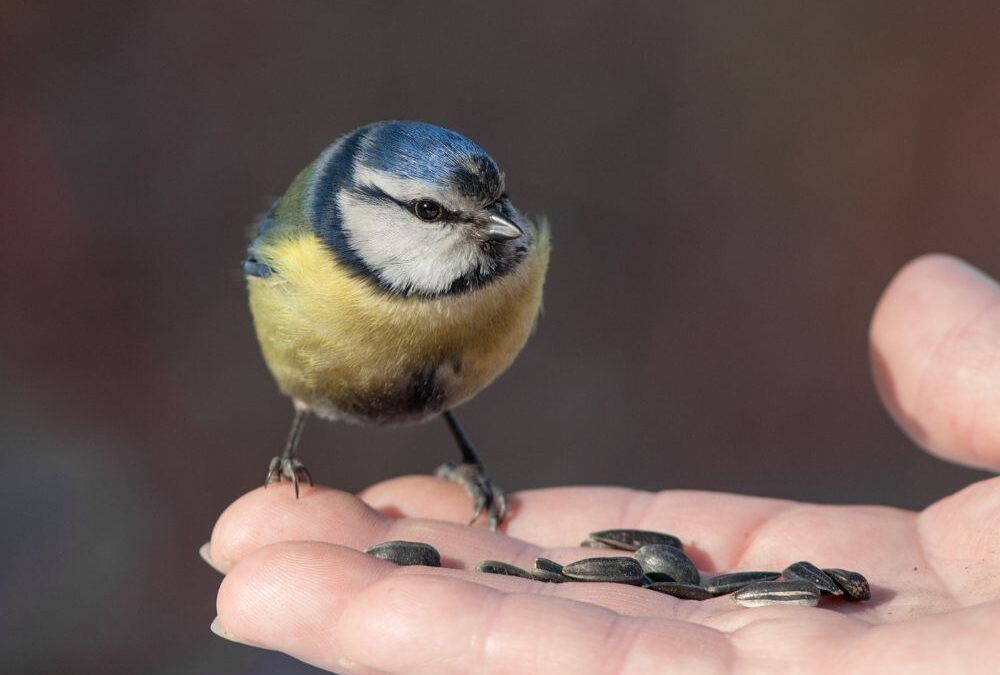 7 Raisons de Faire Confiance à EXPO STAND pour Vos Expositions