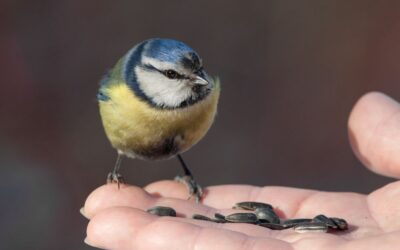 7 Raisons de Faire Confiance à EXPO STAND pour Vos Expositions